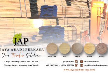 Maple | Semarang Indonesia