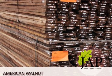 Walnut   |  Semarang Indonesia