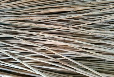 Bamboo Poles