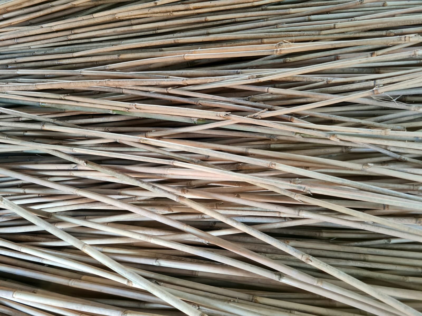 Bamboo Poles